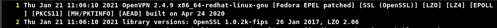 vpn log