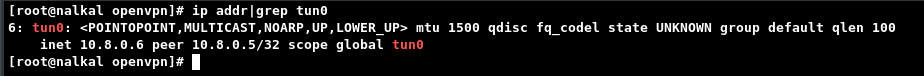 vpn run